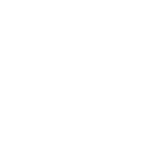 Government Services Facility Limited